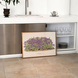 Aubrieta Campbelli