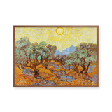 Olive Trees