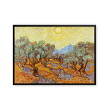 Olive Trees