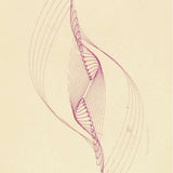 Pendulum Curve