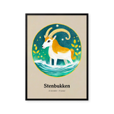 Stenbukkens Stjernetegn
