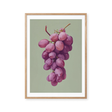 Violet Harvest