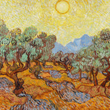 Olive Trees