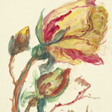 Autumn Bloom