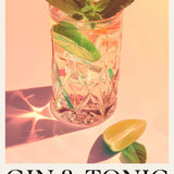 Gin & Tonic