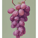 Violet Harvest