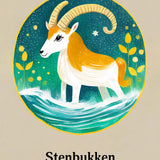Stenbukkens Stjernetegn