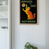 Amidon Au Chat