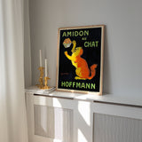 Amidon Au Chat