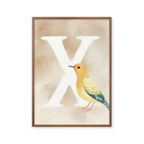Bogstavsplakat - X for xenops