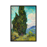 Cypresses