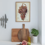 Fresh grapes