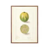 Key lime
