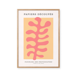 Papiers Découpés - Panorama des Photographes