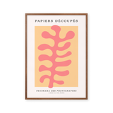Papiers Découpés - Panorama des Photographes