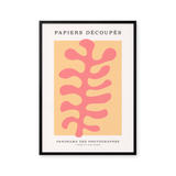 Papiers Découpés - Panorama des Photographes