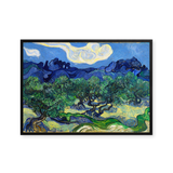The Olive Trees