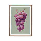 Violet Harvest