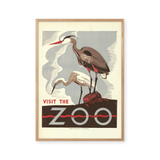 Visit the zoo