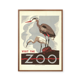 Visit the zoo
