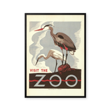 Visit the zoo