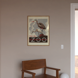 Visit the zoo