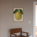 citrus limon