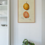 lemon guava