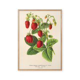 rêve de fraise
