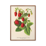 rêve de fraise