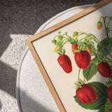 rêve de fraise