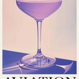 Aviation