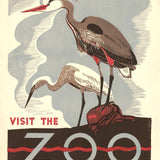 Visit the zoo